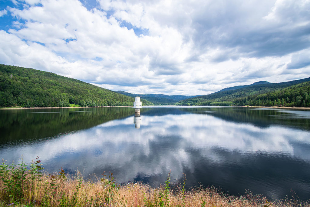 Waldwasser Organisation & Imageentwicklung Waldwasser
